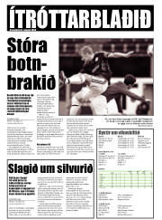 Síða 14
