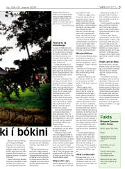 Síða 21