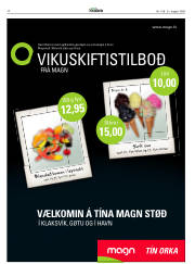 Síða 46