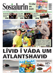 Síða 1