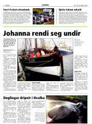 Síða 8