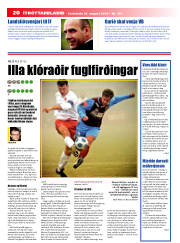 Síða 20