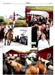Síða 27