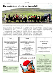 Síða 17