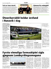 Síða 11