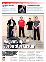 Síða 20