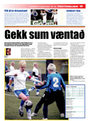 Síða 19