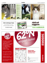 Síða 22