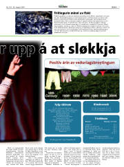 Síða 7