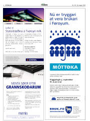 Síða 8