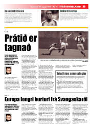 Síða 33
