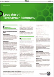 Síða 41