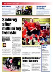 Síða 22