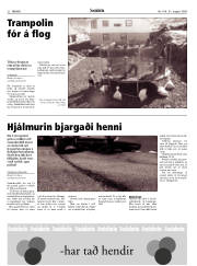 Síða 32