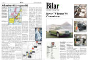 Síða 8
