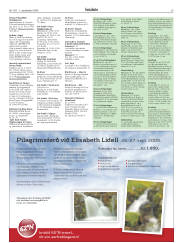 Síða 29