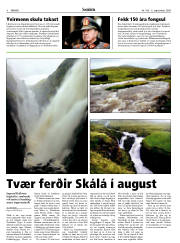 Síða 8