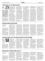 Síða 13