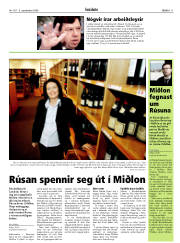 Síða 11