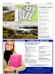 Síða 3