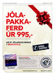 Síða 19