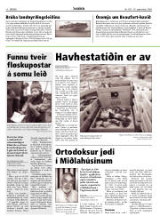 Síða 10