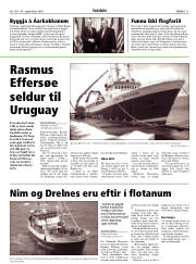 Síða 11