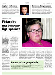 Síða 8