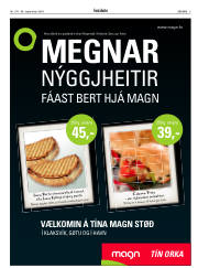 Síða 3