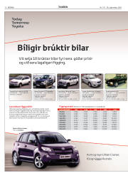Síða 16