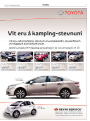 Síða 17