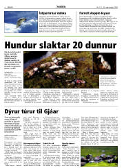 Síða 4