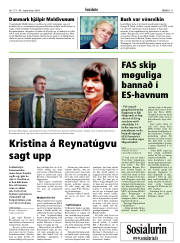 Síða 11
