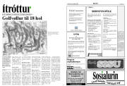 Síða 16