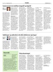 Síða 13