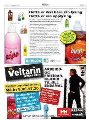 Síða 5