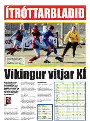 Síða 31