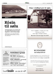 Síða 36