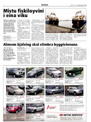 Síða 2