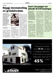 Síða 9