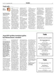 Síða 13