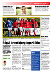 Síða 17