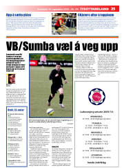 Síða 25