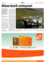 Síða 8