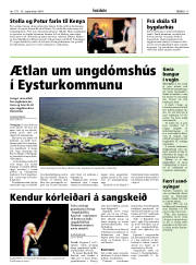 Síða 15