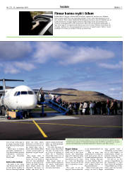 Síða 17
