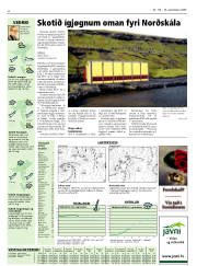 Síða 32
