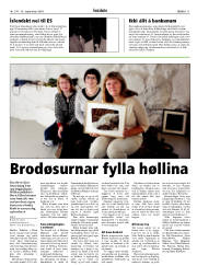 Síða 11