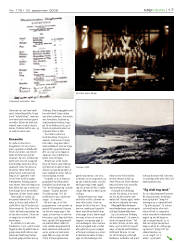 Síða 17