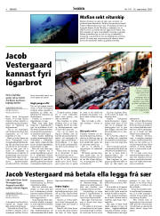 Síða 4